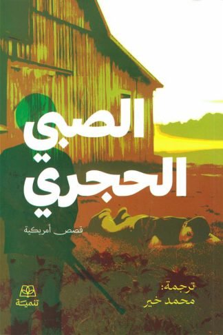 الصبي الحجري (قصص أمريكية)