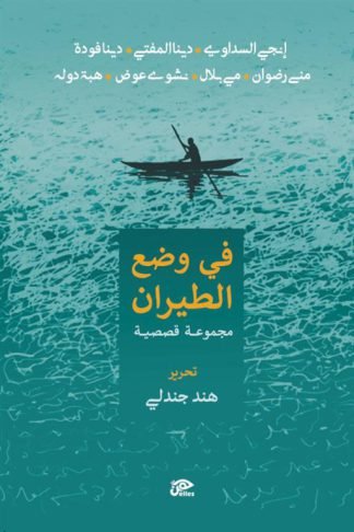 في وضع الطيران