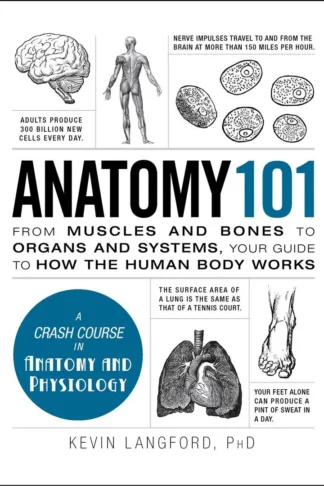 Anatomy 101: From Muscles and Bones to Organs and Systems, Y
