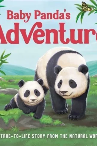 Baby Panda's Adventure