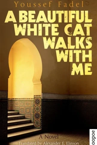 Beautiful White Cat Walks with
