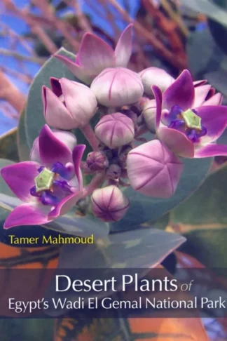 Desert Plants of Egypt's Wadi El Gemal National Park