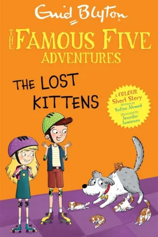 Famous Five Colour Short Stories: The Lost Kittens