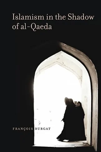 Islamism in the Shadow of al-Q