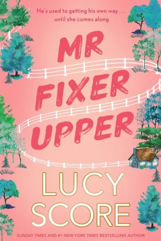 Mr Fixer Upper