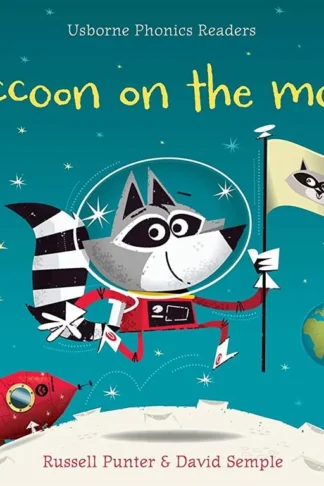 Raccoon On The Moon