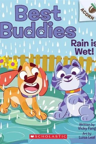 Rain Is Wet!