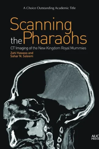 Scanning the Pharaohs