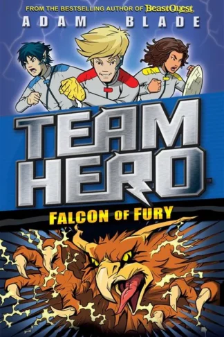 Team Hero Falcon of Fury