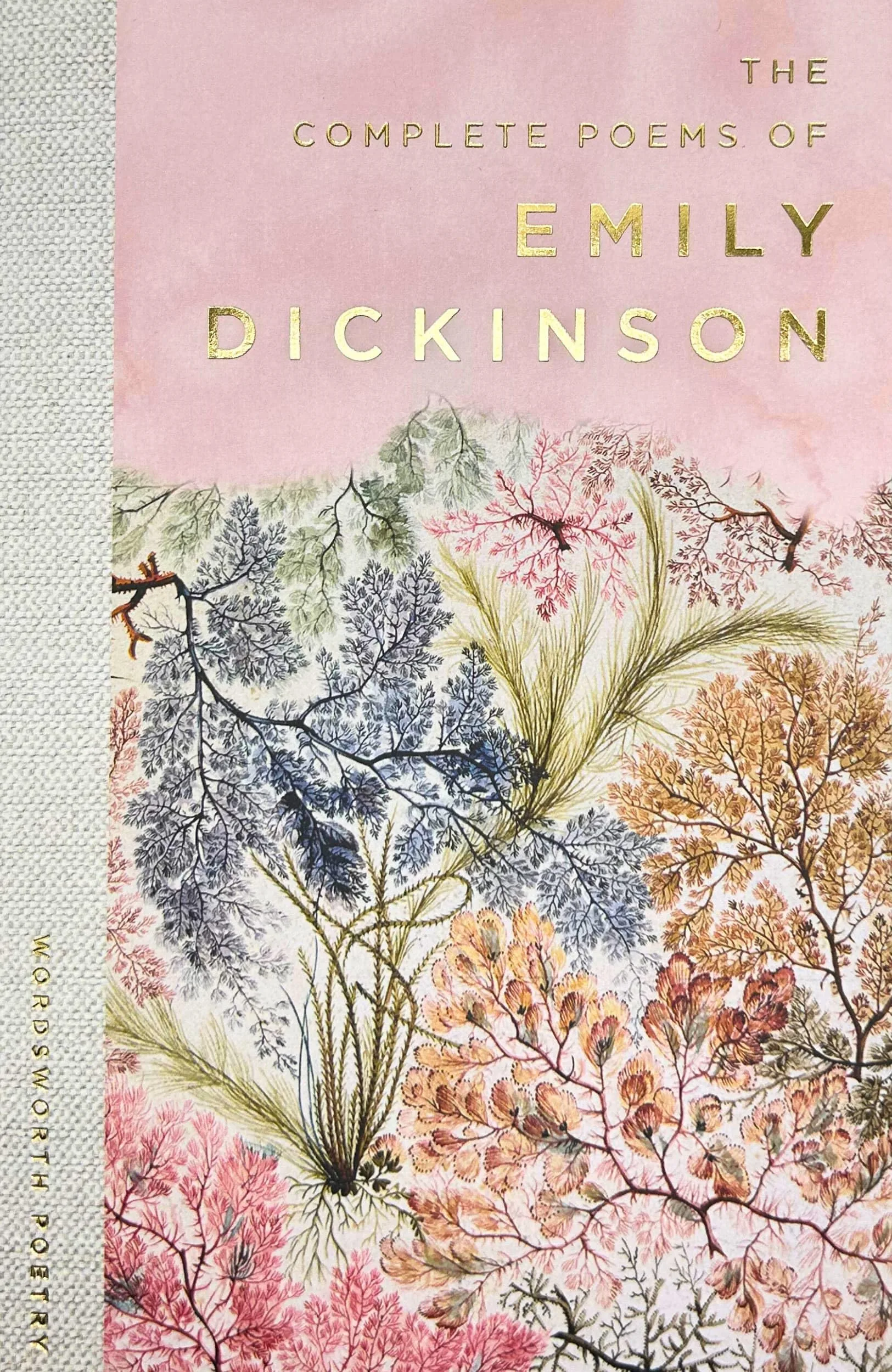 The Completed Poems of Emily Dickinson