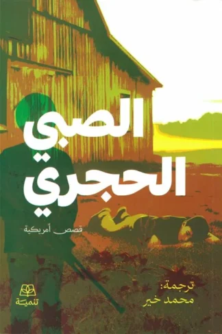 الصبي الحجري (قصص أمريكية)