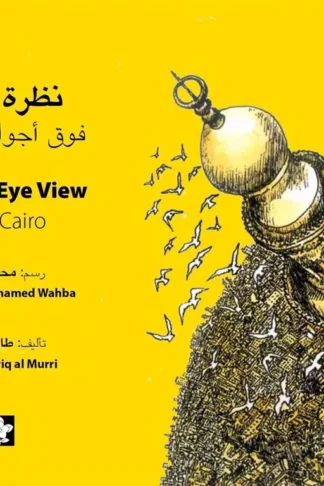 نظرة طائر فوق أجواء القاهرة‏